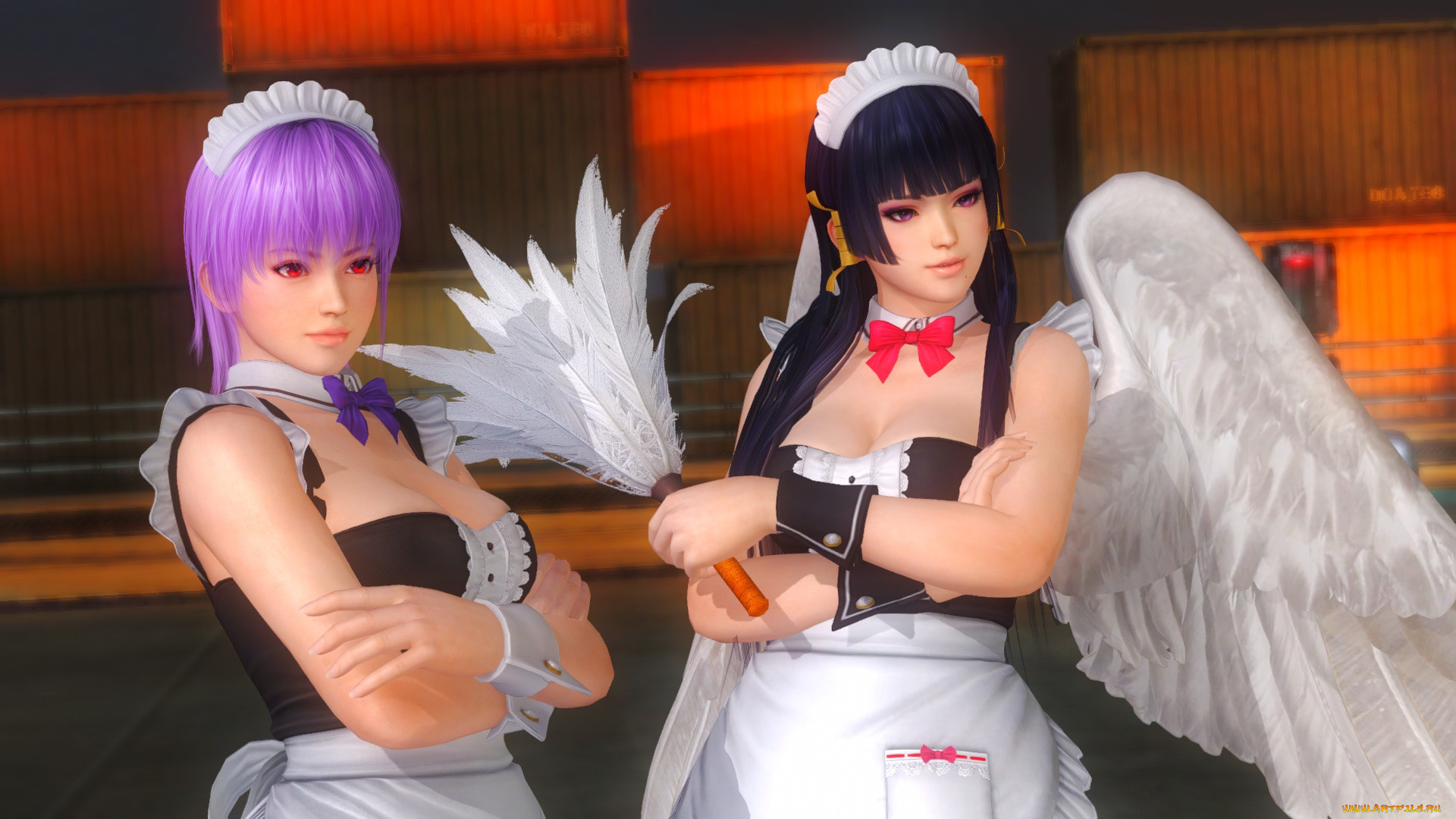  , dead or alive 5, , , , 